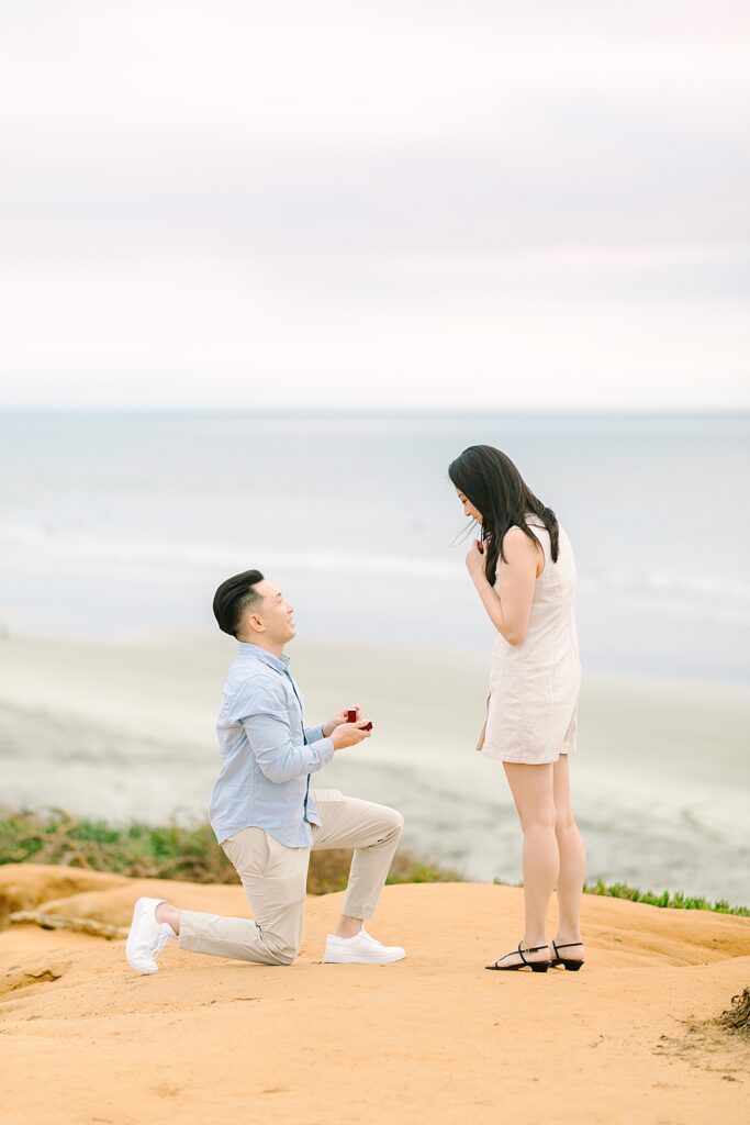 Gilbert proposing to Jenn on the cliffs at Carlsbad, overlooking the ocean at sunset.